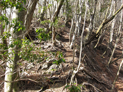 20200110hike (182)